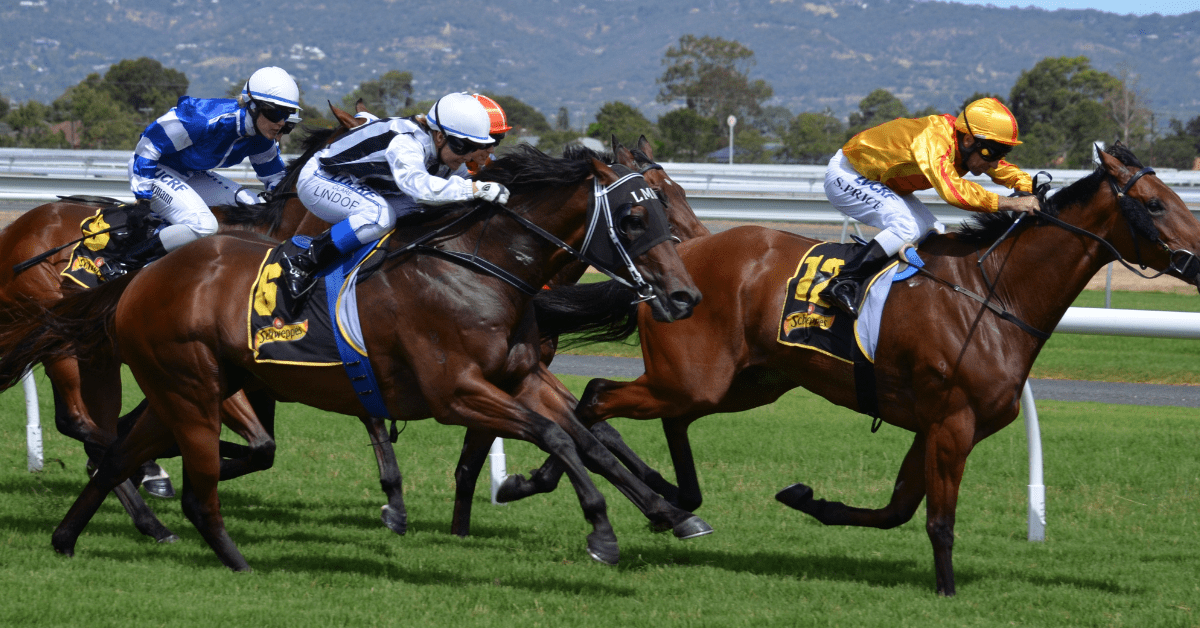 Just How Big are Horse Jockeys? (This Might Surprise You!)